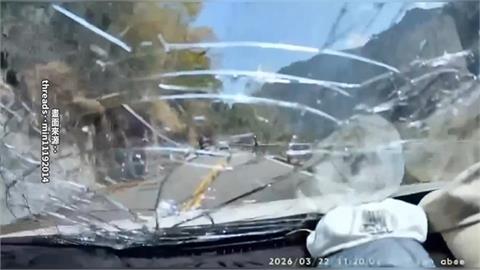 台8線谷關大樹從天降! 1車載3人遭砸險受困擬提國賠