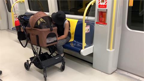 規範不同調！飼主帶寵物搭捷運　北捷過關「轉乘新北捷恐卡關」