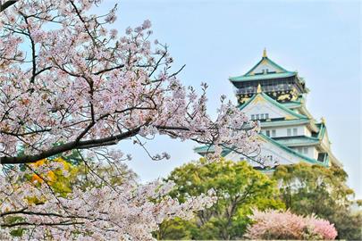 日本人氣炸怒轟歧視當地人！「這些熱門景點」全取消對外國遊客優惠