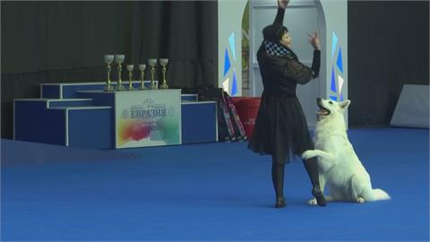 寵物狗舞蹈大賽　攜愛犬場上跳舞秀默契