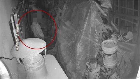 學不乖！7旬蜘蛛大盜假釋又犯案　搜刮黃金+現金共11萬