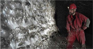 驚世奇觀!全球最大面積「蜘蛛網牆」曝光 11萬隻共同編織「以牠為食」