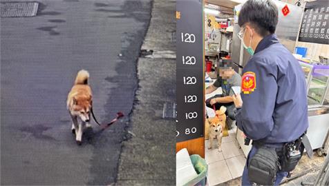 快新聞／傻眼！柴柴走失飼主急求助　警方便當店找到狗「正在啃雞腿」