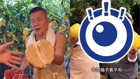 澎恰恰「中國賣水果」還債！徒弟許效舜驚喜現身