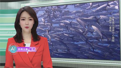 敏熙報氣象／墾丁海域上演「梭魚風暴」　壯觀奇景吸引潛客目光