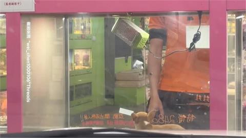 宜蘭寵物店遭控虐狗！　民眾目擊店員「敲門、抓吉娃娃」