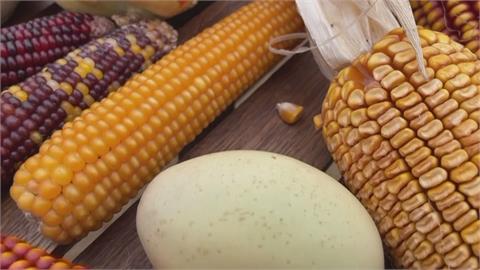 農產品日漸單一化　智利種子監護人復育未經基改蔬果