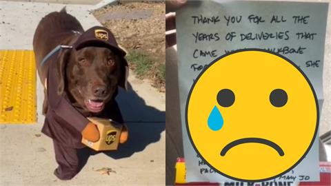 每天送餅乾給狗狗！物流司機突收一箱「最後的禮物」　逼哭百萬網友