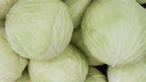 高麗菜怎麼炒會脆又甜？老饕曝「關鍵秘訣」：便當店不能說的秘密！