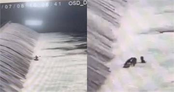 禁止水域玩SUP溺水釀2死！男最後身影曝光　與4友人均非職業玩家