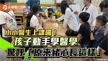 小小醫生上課囉！孩子動手學醫學　驚呼「原來豬心長這樣」