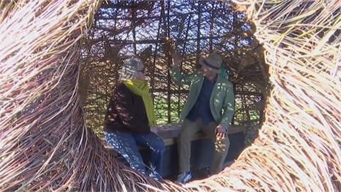 遠看竟像便便符號？　英國「玉黍螺」編織雕塑惹話題