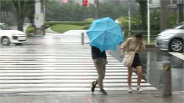 颱風「珊珊」牛步走 日本關東沿海掀巨浪