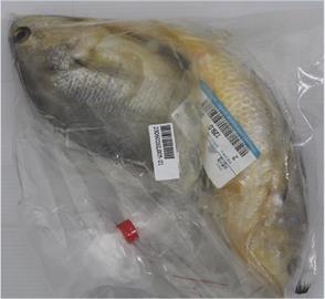 快新聞／包括家樂福、大潤發！　食藥署公布中國進口黃魚驗出禁藥