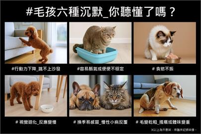 LOVITA PETS 美國醫護級照護思維登台全方位支持毛孩的健康