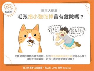 【狗貓餵養知識】飼主大崩潰！毛孩吃小強會有危險嗎？｜寵物愛很大