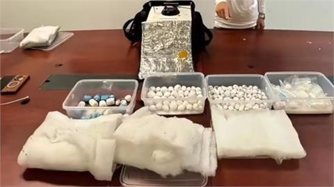 男子機場走私「223顆鸚鵡蛋」沖馬桶！海關神救援竟奇蹟孵出37隻