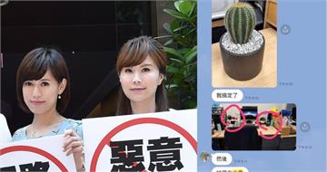 主播宮鬥番外篇2／「大象對著你」小心！　仙人掌、水晶陣畫面首度曝光