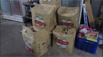 超噁！八里地下工廠蘿蔔糕 摻毛髮、小蟲