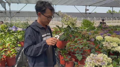 百大青農吳承燁　透過科技創新管理花卉奪得花農冠軍
