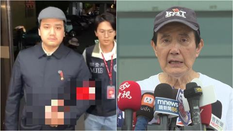 藍青年軍「戴納粹臂章」丟臉鬧上國際！昔黑歷史遭挖「曾強吻馬英九」畫面流出