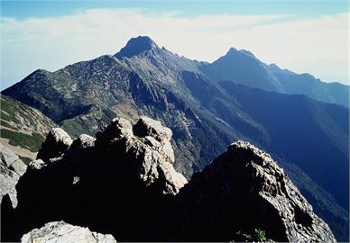 玉山園區黑熊高密度棲息地　山友罕見目擊母子熊