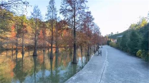 苗栗三灣週一清晨僅1度　創入冬平地最低溫