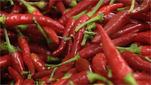 小辣椒一週漲近1倍！　本土產量少　菜販：受毒油影響進口貨卡海關