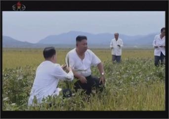 北朝鮮天災連連　金正恩視察災區　
