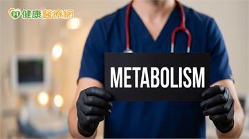 代謝健康不只看體重！肌肉、腸道、睡眠都相關　掌握4大健康關鍵