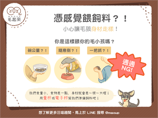 【汪喵餵養知識】隱形的熱量讓毛孩身材走樣？別再憑感覺餵毛孩囉！