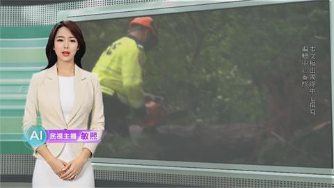 敏熙報氣象／強烈風暴襲擊紐西蘭　罕見發布狂風紅色警報