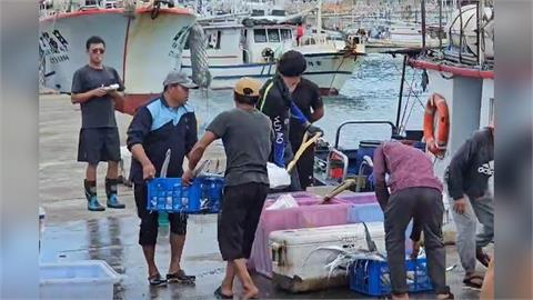 "鳳凰"逐步接近台灣 基隆漁民進港急卸貨防颱