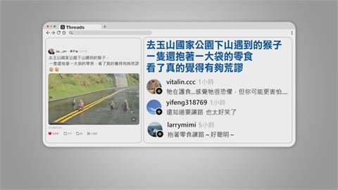 真山道猴子！台18公路「猴抱零食」當路霸　被叭心有不甘讓路了