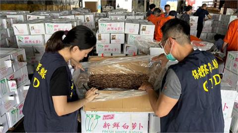 白蘿蔔箱裝香菇、大蒜走私　保三總隊攔阻中國劣質農產進口