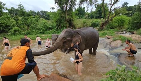 泰國清邁大象零距離接觸｜Elephant jungle sanctuary｜和大象一起洗澡(2023)