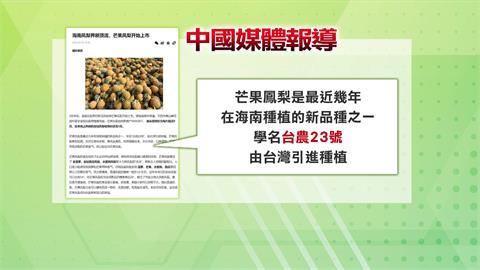金鑽之後　中國又偷「芒果鳳梨」品種　號稱海南島種得比台灣多