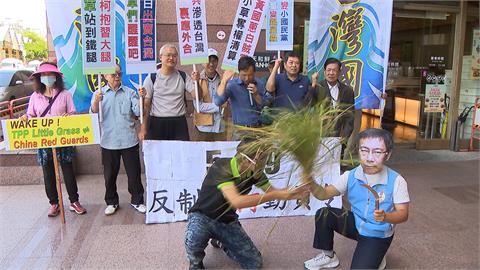 反制519遊行！　台灣國號召「喚醒小草行動」