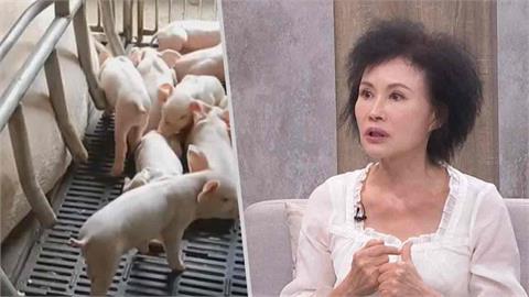 豬瘟防疫最後關鍵期2件事要小心!譚敦慈:豬肉務必「煮全熟」避免寄生蟲
