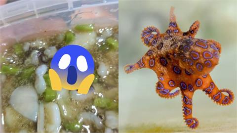 嗑芥末章魚驚見「藍環章魚觸腳」秒衝急診！醫一看搖頭了：這無藥可救