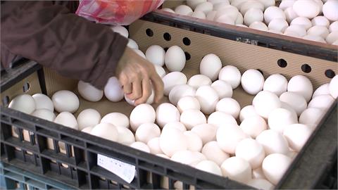 雞蛋下週一擬每斤漲2元！　陳吉仲：超市設平價蛋專區