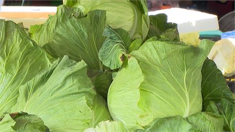 菜價飆漲青蔥每公斤破400元 菜籃族買不下手