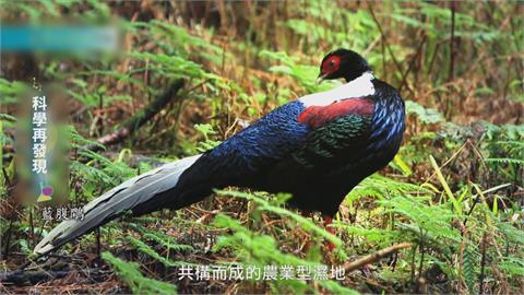 友善耕作豐富生態系　朝「永續共生之道」邁進