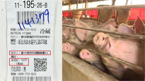 快新聞／台中不在乎防疫？林楚茵秀快遞單據　爆病死豬檢體拖到20日下班才寄出