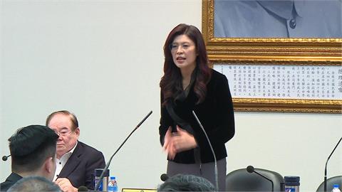 季麟連嗆開除韓！鄭麗文稱已翻頁　趙少康：這麼容易翻法院可以關了