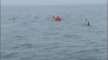 兩釣客遇漲潮受困海中 海巡人員及時救援