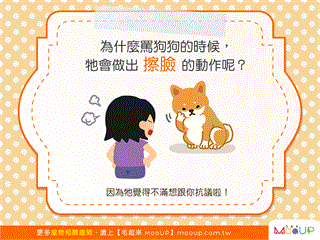 【汪汪真心話】罵狗狗的時候，狗狗擦臉是為什麼？！
