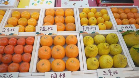 各種柑橘任你挑！　新竹「柑橘美食生活節」週末登場