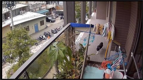 陽台可直通鄰居家！住戶控建商不理會　　建設公司駁：不實指控