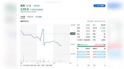 嘉實資訊(3158)10月31日開始競拍      11月5日起申購11日抽籤